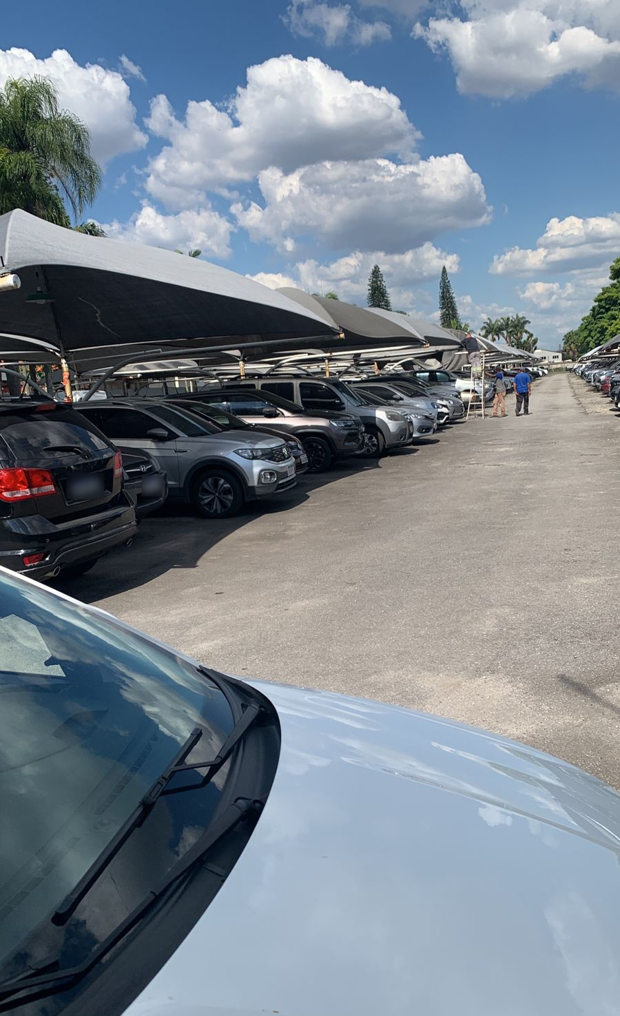 Serviço 26