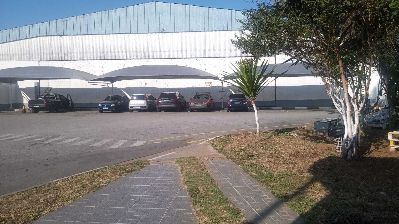 Serviço 33