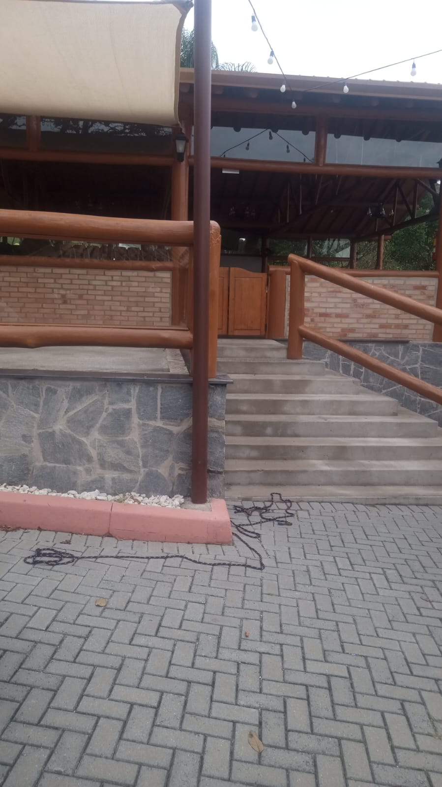 Serviço 55